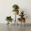 Menu Planters | Scandinavian Design
