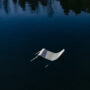Lieksa-chair-water-Snarkitecture-0
