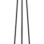Ski1