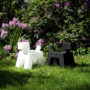 wuff-eero-aarnio-outdoorx2