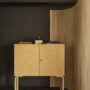 Artek Gems From The Archive In-situ Cabinet 250, Screen 100a_master