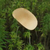 Plant To Product Hero | ScandinavianDesign.com