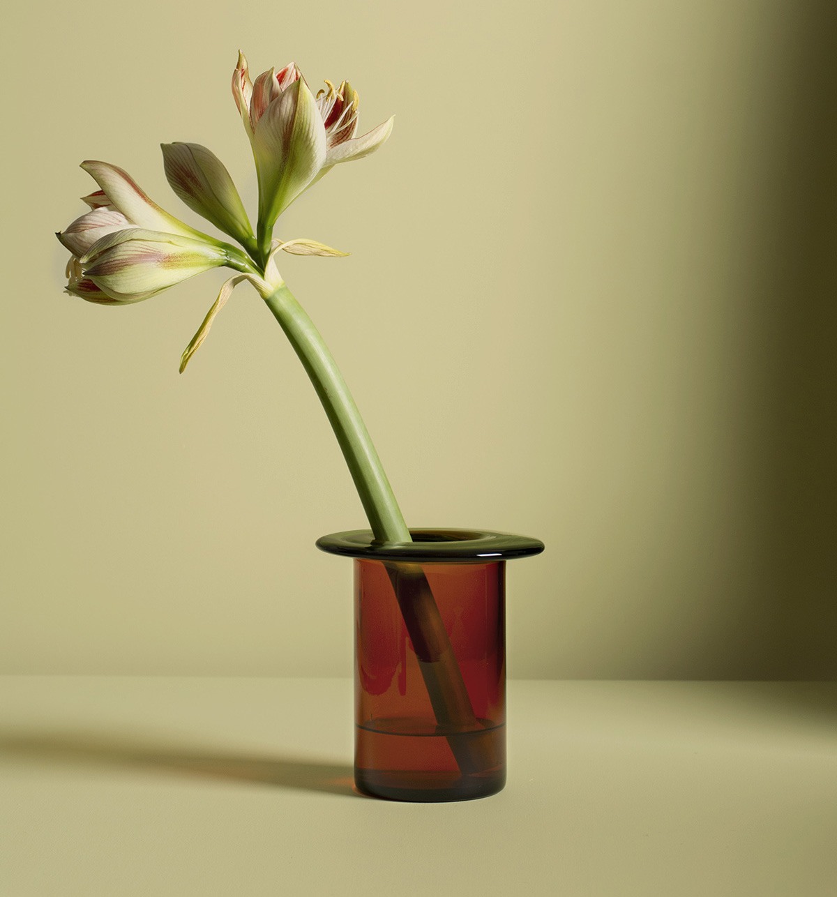 Rabarbra – A Flower Vase In Solid Color Glass Designed By Anderssen & Vo… | ScandinavianDesign.com