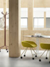 Fendo stool closeup
