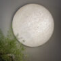 IMG 8401 scaled e1693925724671 1536×1536