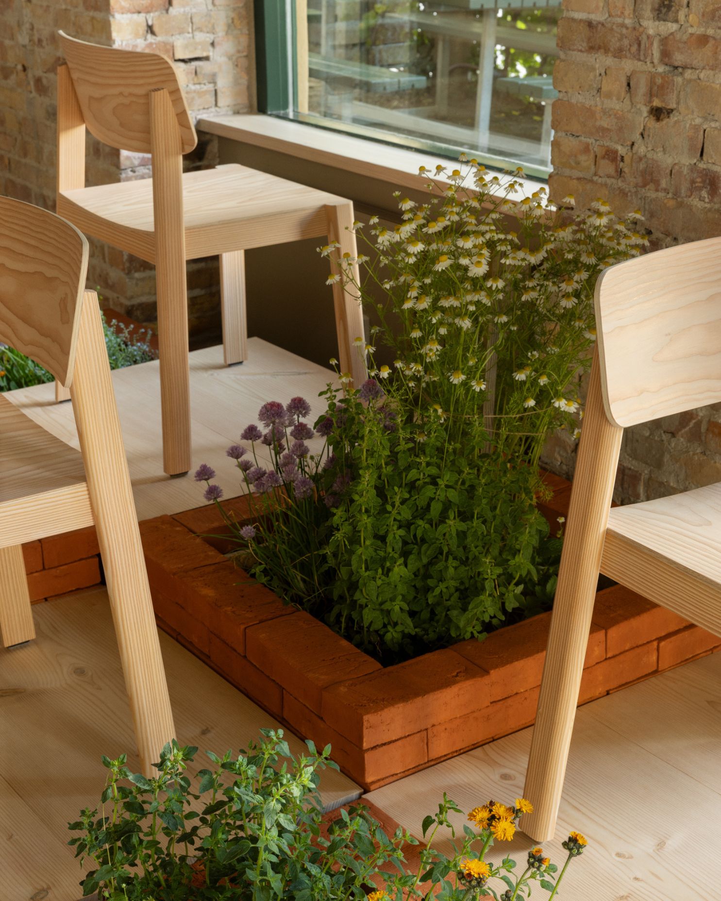 Design uden navn 1 Design uden navn 1