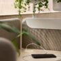 Plantea Alle screen closeup