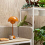 Plantea table plantdivider closeup