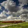 Roosevelt Presidential Library photo Nic Lehoux snohetta 9